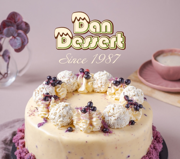 Cover drsi mec.jpg