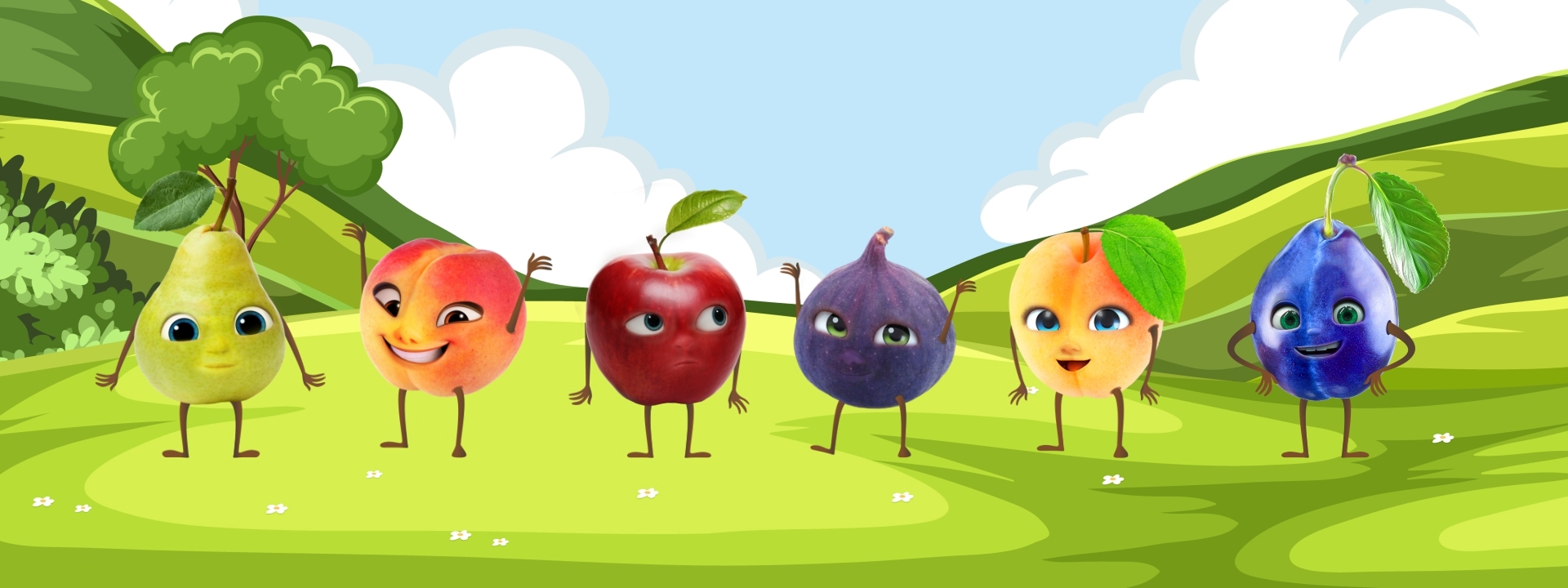 Mruit Fruit